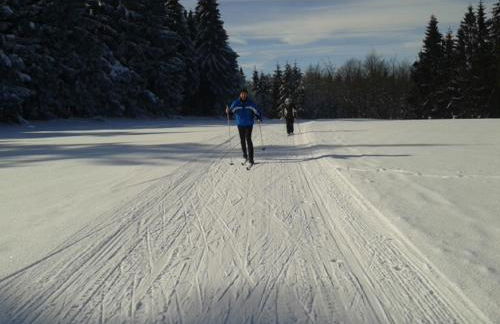 Ferienhof Jungkunz - Foto 15