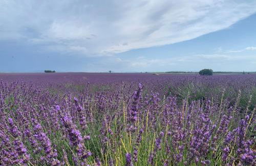 Charming house, Lubéron, near golf and wineries - Foto 29