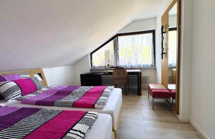 Haus Schanzenblick Fewo11 im Herzen des Schwarzwaldes - Foto 4