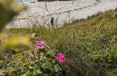 Herons Rest Pod By The Sea - Foto 48