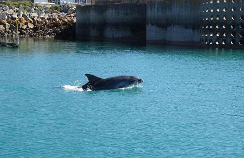 L' ALBATROS - 2 chambres - 5 personnes - Proximité de la plage - Foto 26