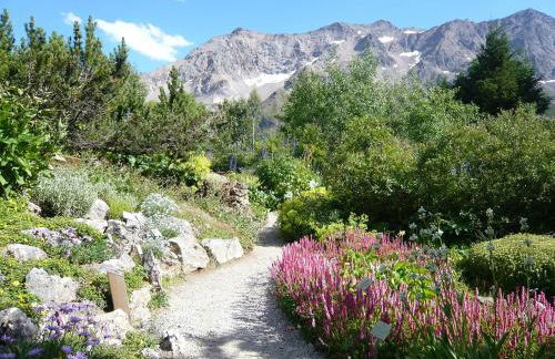 Agréable appartement au calme avec vue montagne, commune de Le Monêtier les Bains - Le Freyssinet - Photo 47