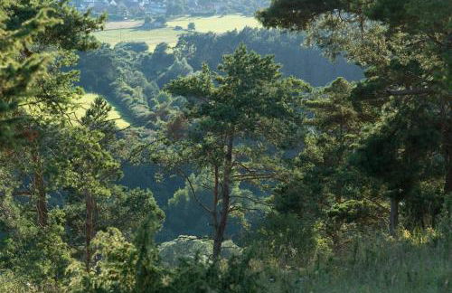 Zum Goldenen Schaf II - Photo 22