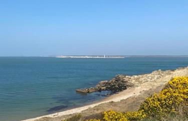 Brambles chine - Photo 14