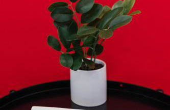 Harty's Terrace 9 Kimball Avenue - Foto 58