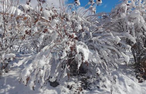 Appartement montagne LE FLOCON - Foto 28