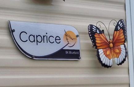 Orange Caprice Escape, Church Farm - Foto 23