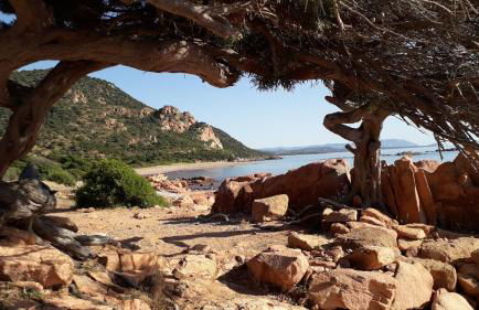 Domu Arangius - Foto 51