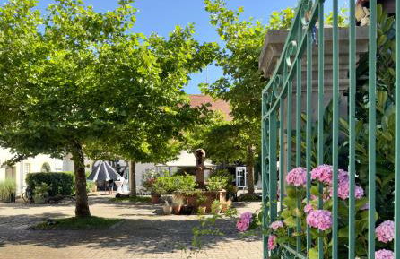 Villa Schloss Rimsingen Fine Apartments - Foto 10