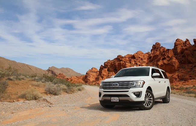 Traslado privado del aeropuerto de Frankfurt a la ciudad de Frankfurt - Foto 10