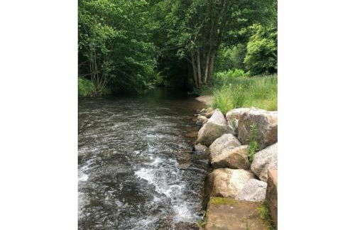 Haus am Kirchberg in Vita Garden - Foto 16