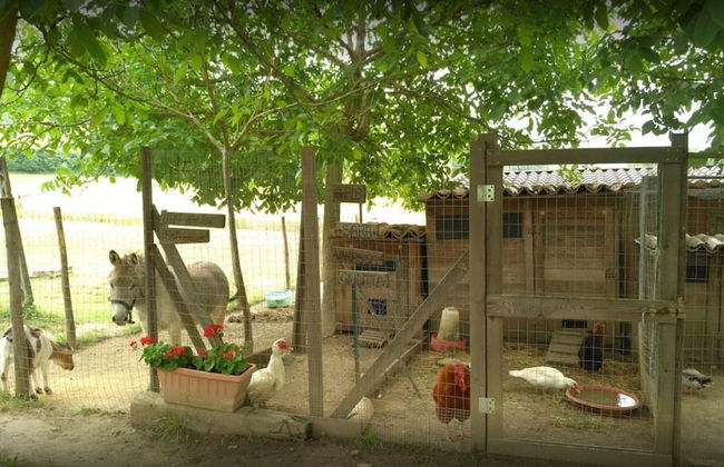 Agriturismo Il Truffarello - Foto 24