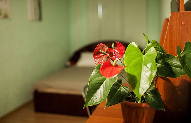 Funny Dolphins Apartments Krasnoselskaya - Foto 11