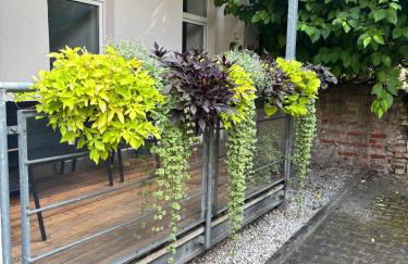 FeWo Katharina - Foto 29