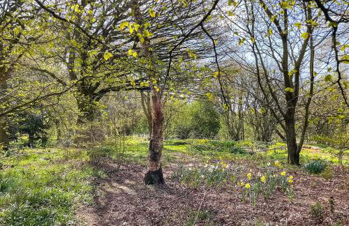 Corn Stook - 16867 - Foto 22