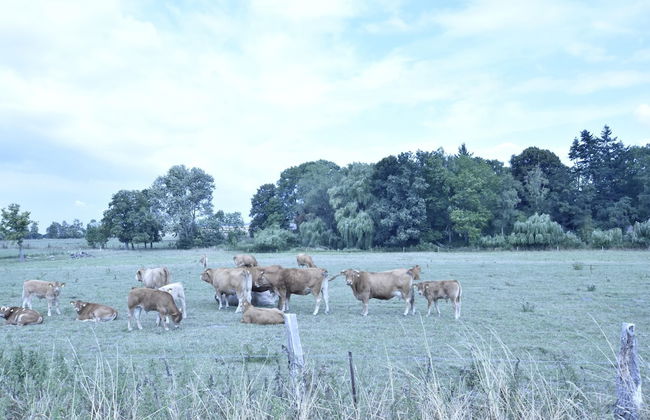 Schone Ferienwohnung mit Terrasse in Boddin - Foto 27