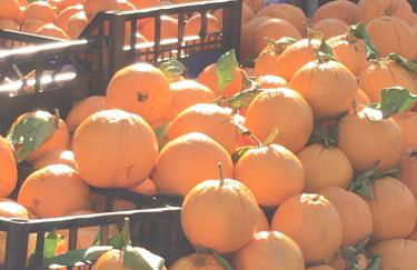 L'attico di Greta,Etna house - Foto 34