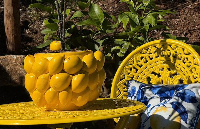 Terre di Baccio - Foto 6