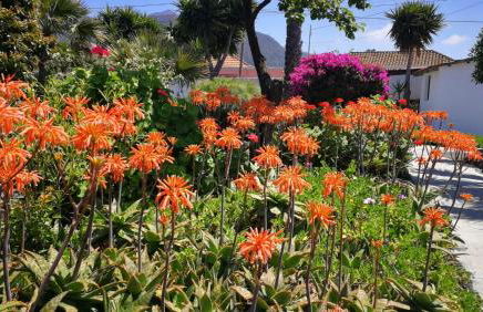 Finca Primavera - Foto 28