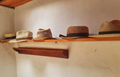 Casa Palmera - Photo 28