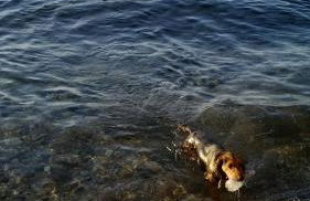 Luna e Mare - Foto 70