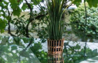 La Casa dei Nonni - Photo 22