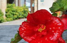 Fogar Do Selmo - Foto 18