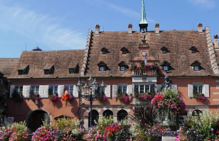 Le Bacchus - Photo 13