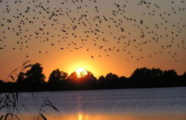 Fine Stuuv Comfortable Holiday Residence - Foto 15