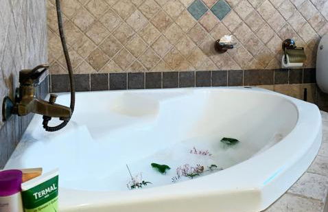 Vintage Manor - Foto 9