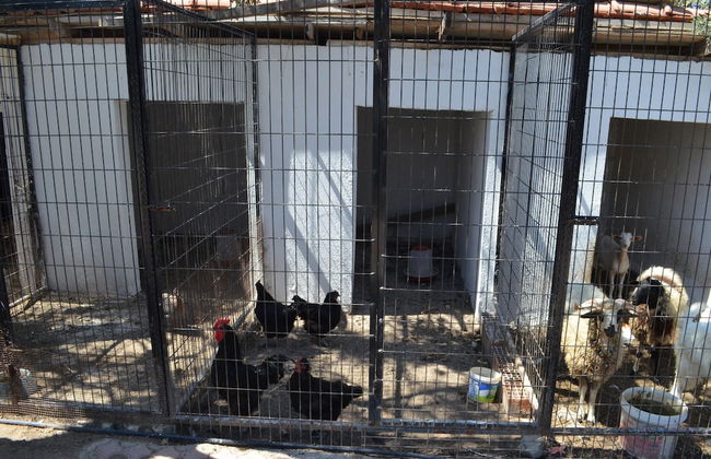 Zeytin Apart Otel & Aquapark - Photo 27