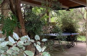 Tenuta Sidore - Foto 86