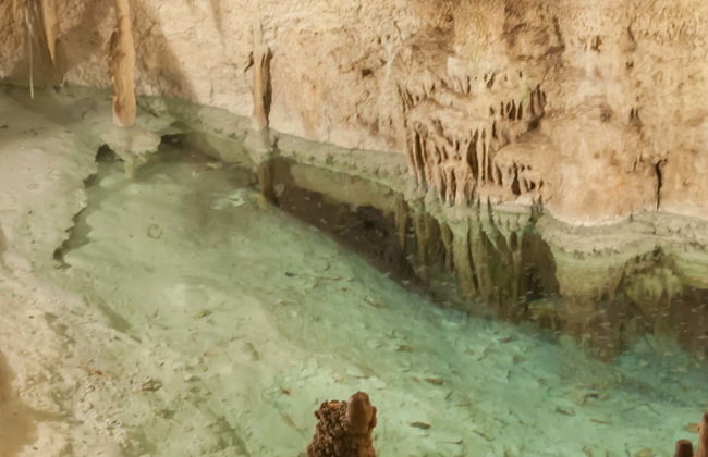 Excursión a las cuevas del Drach de día completo desde el sur de Mallorca - Foto 8