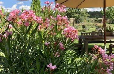 Scheune Zauchwitz - Foto 19