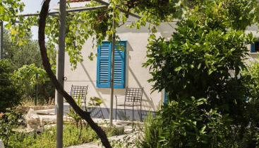 Studio apartman ROZA - Foto 4, Garden