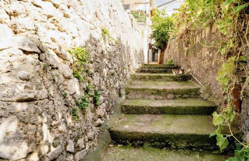 Comfortable apartment in Gragnano 45 m² with quiet balcony - Foto 19