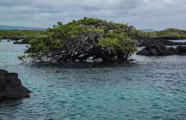 Escursione a Los Túneles - Foto 2