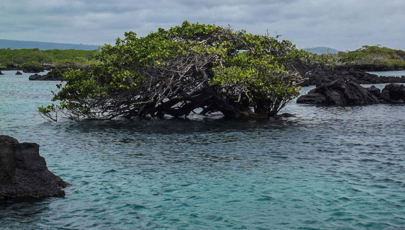 Il paesaggio protetto delle Galapagos