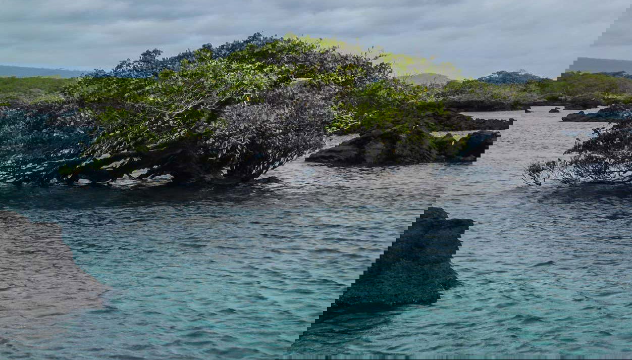 Entorno protegido das Ilhas Galápagos