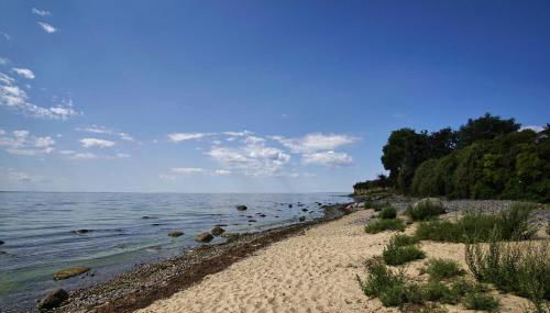 rügenreif Ferienwohnungen - Ferienwohnung 01 - Foto 2