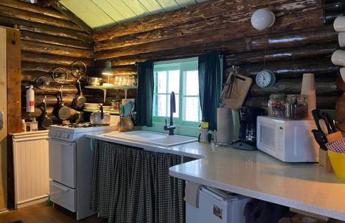 Talkeetna Gardens, Cabins & Cottages - Foto 40