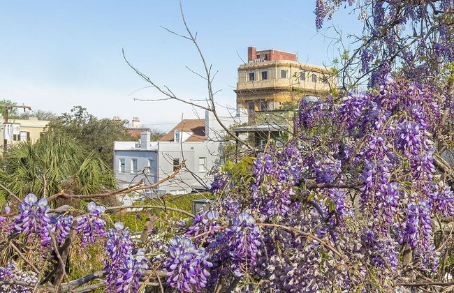 Southern Belle Skyline - Foto 24