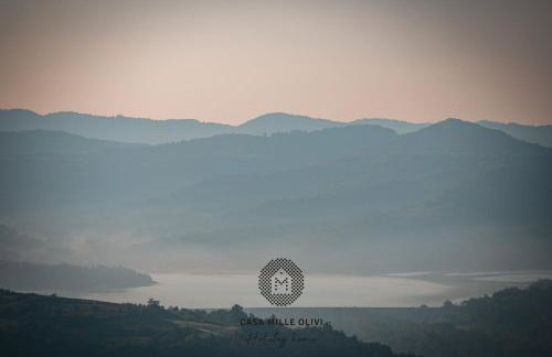Casa Mille Olivi - Peaceful Lake View House, Private 50m2 Pool, near Motovun - Photo 53