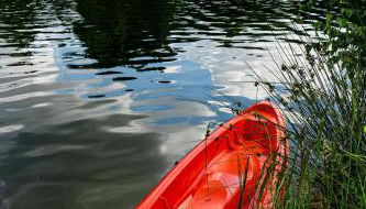 Haus Seeblick - Foto 5