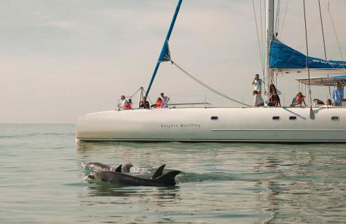 Villa Nana - Foto 41