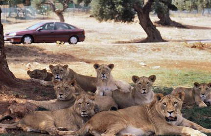 Vacanze in Puglia - Foto 14