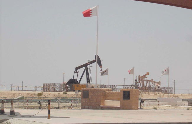 Excursión privada al desierto de Sakhir - Foto 5