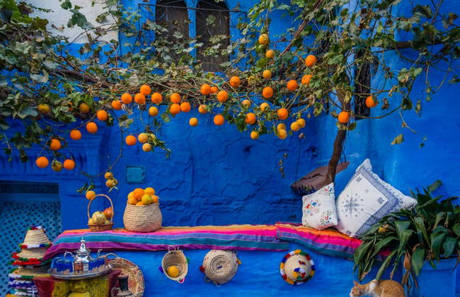 Excursion à Chefchoauen - Photo 1