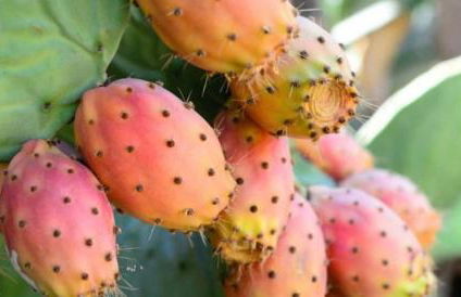 Baia verde 71 - Foto 3