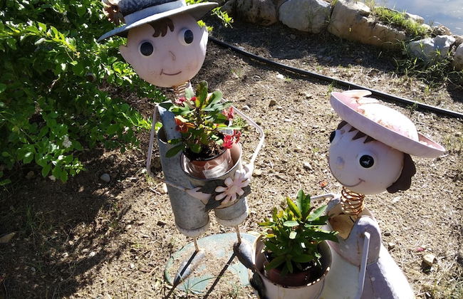 Cortijo Veracruz - Photo 66